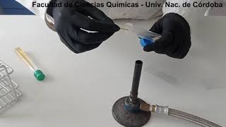 Exudado Faríngeo Análisis de muestra Serie Laboratorista Clínico [upl. by Gilud362]