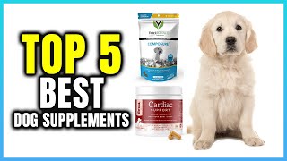 Top 5 Best Dog Supplements  Extreme Reviewer [upl. by Kurland]