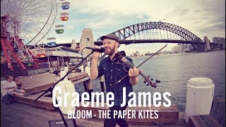 Bloom  Paper Kites  Violin Loop Cover [upl. by Sue]