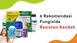 6 Fungisida Resisten Rendah Kontak dan Sistemik Cegah Penyakit [upl. by Hortense]