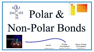 Polar NonPolar and Ionic Compounds Explanation Examples and Practice [upl. by Azriel]