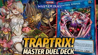 TRAPTRIX NO MASTER DUEL CUIDADO COM ESSE DECK  YUGIOH PROFILE amp COMBOS [upl. by Morissa753]