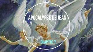 Apocalypse de Jean chapitre 7 [upl. by Bremen]