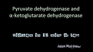 Pyruvate dehydrogenase and Alpha ketoglutarate dehydrogenase [upl. by Claudie]