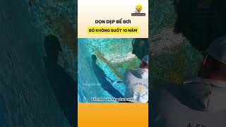 Dọn dẹp bể bơi bỏ không suốt 10 năm [upl. by Bess]