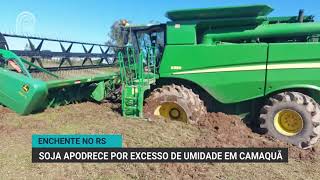 ENCHENTE NO RIO GRANDE DO SUL PRODUTOR RELATA SOJA APODRECIDA E MÁQUINAS ATOLADAS [upl. by Eimorej]