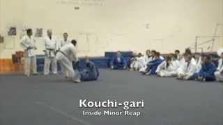 15 BASIC JUDO THROWS  LA VALLEY COLLEGE [upl. by Airetahs764]