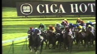 1990 Ciga Prix de lArc de Triomphe [upl. by Arlyne]