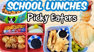 BACK TO SCHOOL LUNCHES PICKY EATERS  BACK TO SCHOOL 2021 NICOLE BURGESS LUNCH BOX [upl. by Lundeen]