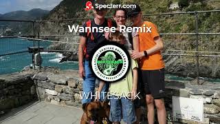 Die Toten Hosen  Wannsee Whitesack Remix [upl. by Eycal]