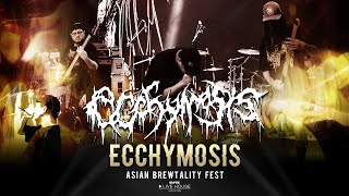 Ecchymosis  Asian Brewtality Fest MrFOX Live House LIVE [upl. by Ardnael]