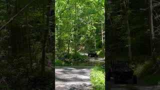 Parsons Branch Road  Cades Cove Tennessee forester smokeymountains rzr needsmoreskinnypedal [upl. by Yorel375]