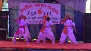 Odia pua bhari swabhimaniBhimasen Krushi Nodal BidyapithaBaunshagadia2019 [upl. by Idnod518]