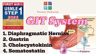 Hernias Gastrin CCK Somatostatin from first aid step 1part 10USMLEUrduHindi [upl. by Adnahsor1]