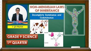 NonMendelian Laws of Inheritance Part 1 Incomplete Dominance and Codominance [upl. by Nordek]