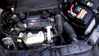 Ford Fiesta 14 TDCI 2007 weird engine noise [upl. by Marysa]