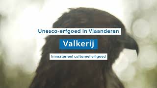 Erfgoed in Vlaanderen Valkerij korte versie [upl. by Ysdnil]