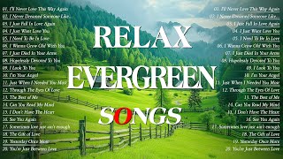 Best of Best Old Evergreen Love Songs Melodies🌻Cruisin Songs 80s 90s🌻Favorite Selected Songs [upl. by Ameline714]