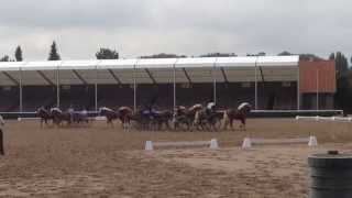 Training für die TraberwagenQuadrille zur Symphonie der Hengste 2014 [upl. by Oliric]