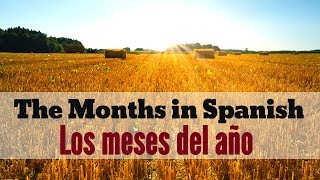 Months of the Year in Spanish  Los Meses del Año en Español [upl. by Eniamrahs]