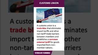 Customs Union  60 Second Economics  A Level amp IB [upl. by Lathan350]