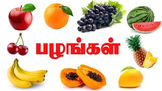 பழங்களின் பெயர்கள்  Learn fruit names in Tamil  Names of fruits [upl. by Publius61]