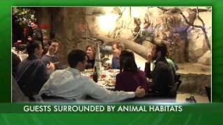 Houston Zoo Natural Encounters [upl. by Merrielle143]