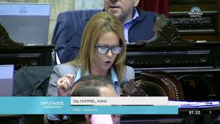 Diputada Hummel Astrid  Sesión 04072018  PL [upl. by Ynnavoj]