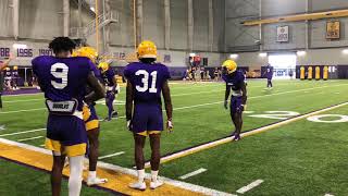 LSU defensive backs run individual drills Sunday [upl. by Nylauqcaj]