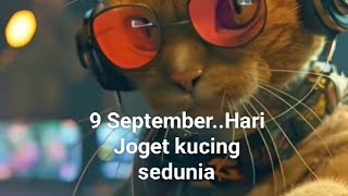 Hari Joget Kucing sedunia [upl. by Lanti50]