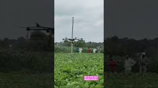 dron spray ड्रोन च्या साह्याने सोयाबीन फवारणी agri soyabean ytshorts ideas [upl. by Aratak]