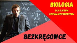 Bezkręgowce Biologia rozszerzona do matury [upl. by Nivre210]