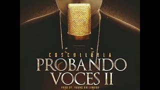 Probando Voces 2  Cosculluela Freestyle [upl. by Savihc]