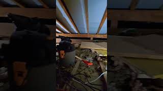 Loft insulation removal [upl. by Gredel]