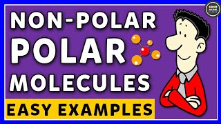 Polar And NonPolar Molecules  Chemistry [upl. by Acirem]