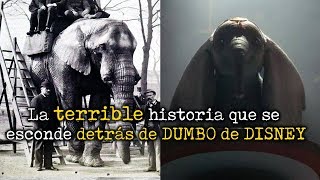 La historia real que se esconde detrás de DUMBO de Disney [upl. by Sergent]