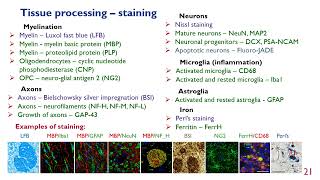 OHBM 2022  24  Educational Course  Quantitative MRI for in vivo histology  Part 4 [upl. by Lynnelle605]