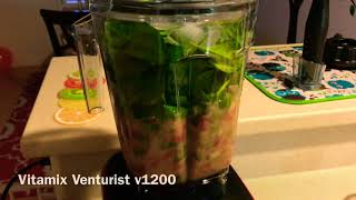 Vitamix Venturist  Smoothie 2 [upl. by Ellenoj]