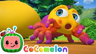 Itsy Bitsy Spider  CoComelon Nursery Rhymes amp Animal Songs [upl. by Tena]