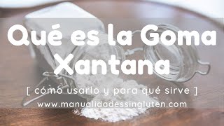 ¿QUÉ ES LA GOMA XANTANA  ¿Para qué sirve la goma xantana en la cocina sin gluten [upl. by Luba]