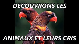 Animaux et leurs cris  Découvrir deviner et apprendre noms amp bruit danimaux étonnant et rigolo [upl. by Lenz638]