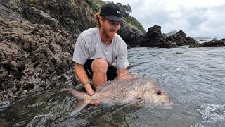 SOFTBAITING NORTHLAND LANDBASEDBIG SNAPPER [upl. by Aenert]