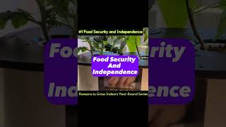 Reason 1 to Grow Food Indoors YearRound with LED Grow Lights Food Security and Independence [upl. by Changaris133]