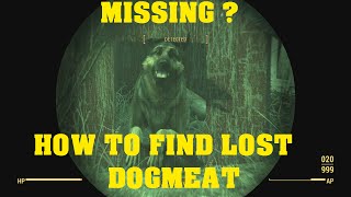 FALLOUT 4  How To Find Lost Dogmeat [upl. by Anaujit]