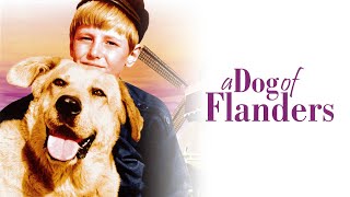 A Dog of Flanders  Full Family Drama Movie  David Ladd  Donald Crisp  Theodore Bikel [upl. by Aeret751]