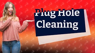 How to clean a plug hole naturally [upl. by Alyk]