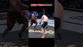 Muay Thai comabo 🥋 mma martialarts kickboxing [upl. by Hurwit]