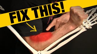 How to Fix Forearm Pain and Tightness QUICK STRETCH [upl. by Stronski969]