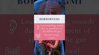 Lets learn bowel sounds together 💩🩺 bowelsounds medstudent medicine [upl. by Ekrub]