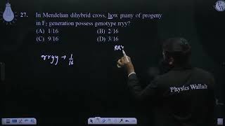 In Mendelian dihybrid cross how many of progeny in F2 generation possess genotype rryy [upl. by Halas]